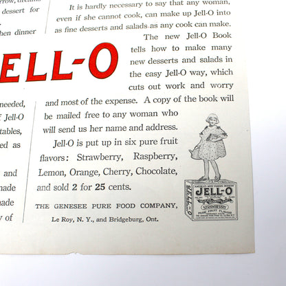 Advertisement, Jello 1919, Original Magazine Ad, Jell-O Dreams Come True, Antique