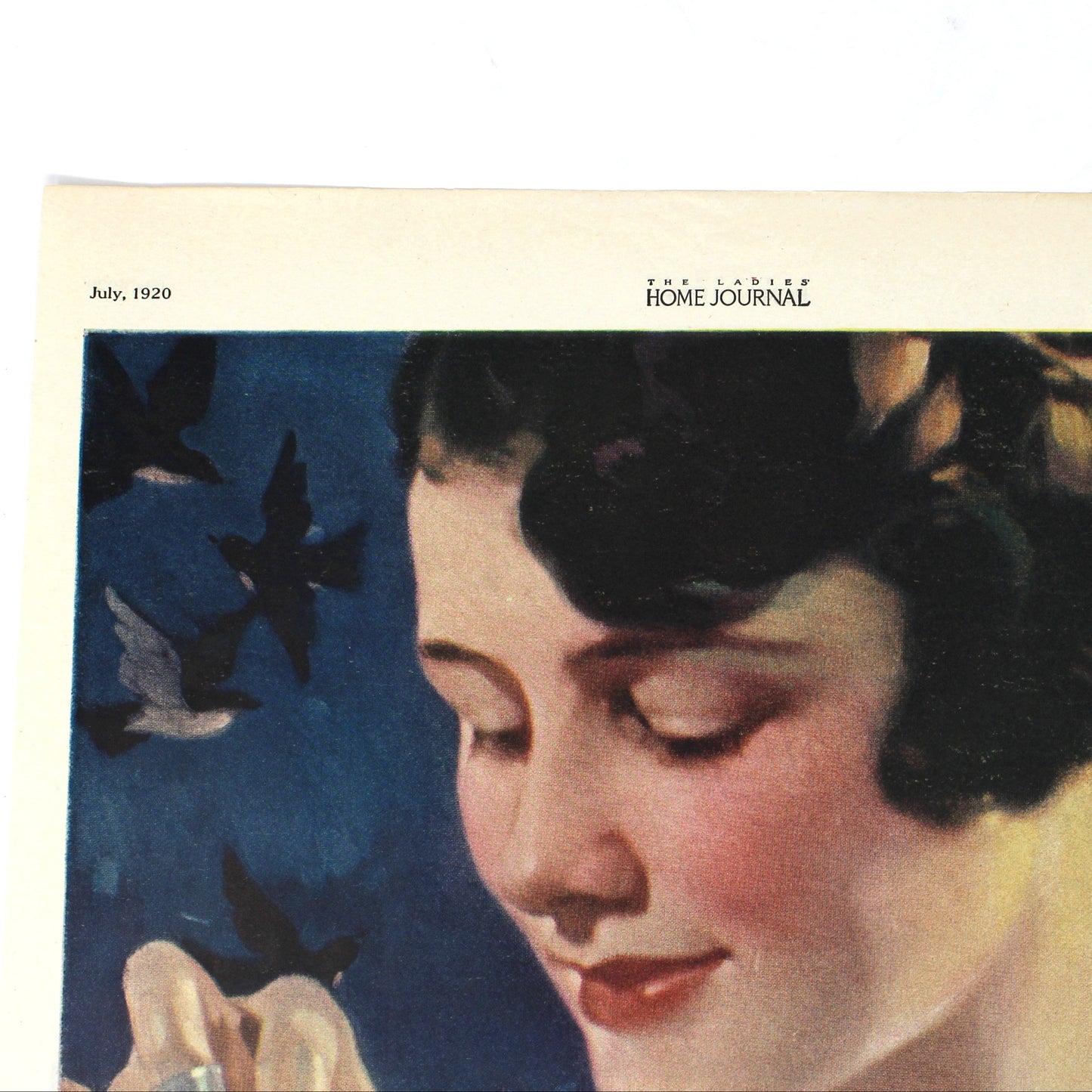 Advertisement, Blue Bird Electronic Clothes Washer, Original Magazine Ad 1920, Antique