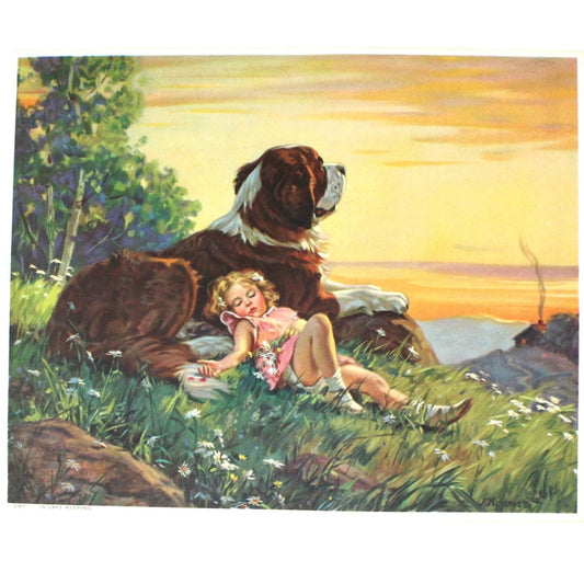 Print, Lithograph, In Safe Keeping, J. Adams, Girl Asleep with St Bernard, Vintage