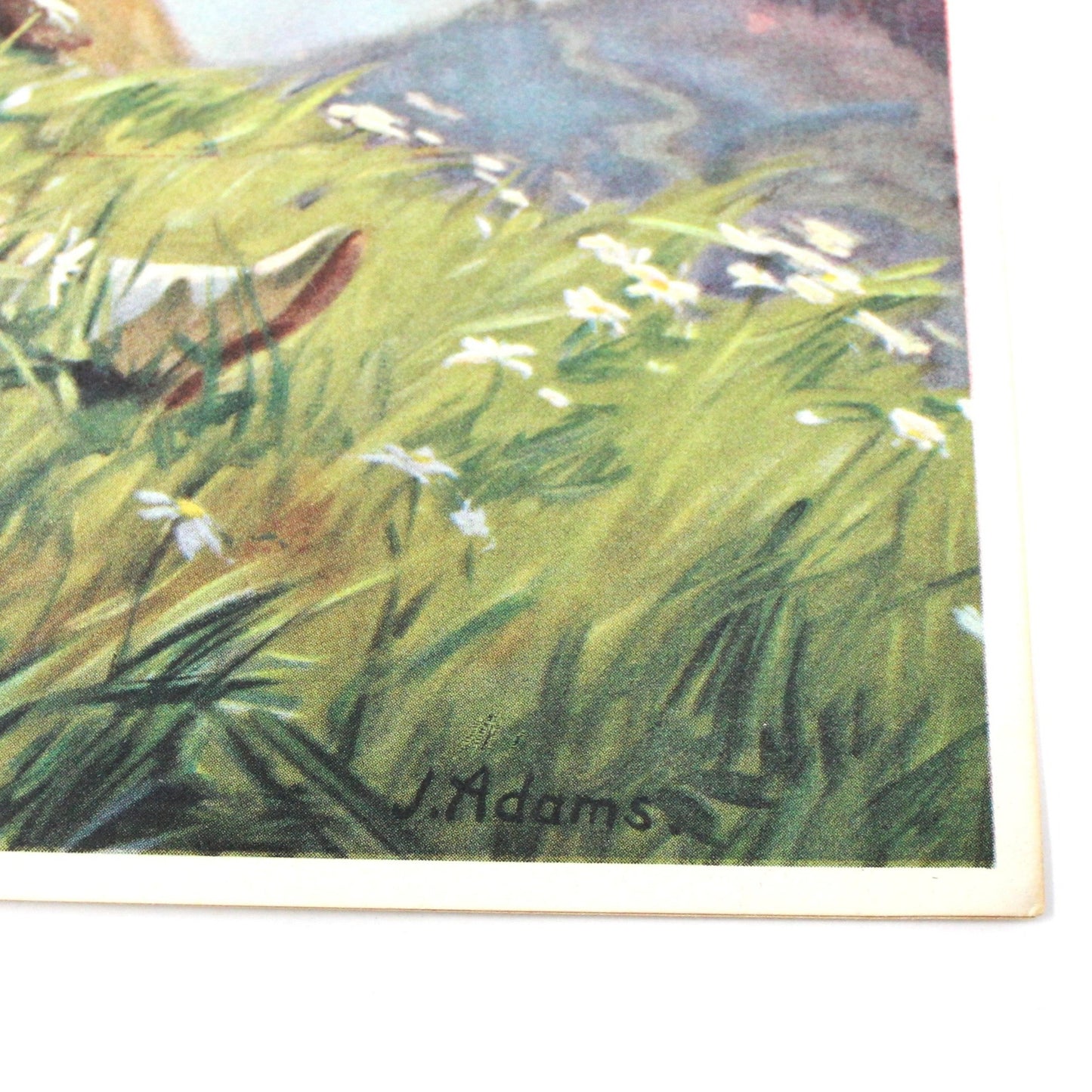 Print, Lithograph, In Safe Keeping, J. Adams, Girl Asleep with St Bernard, Vintage