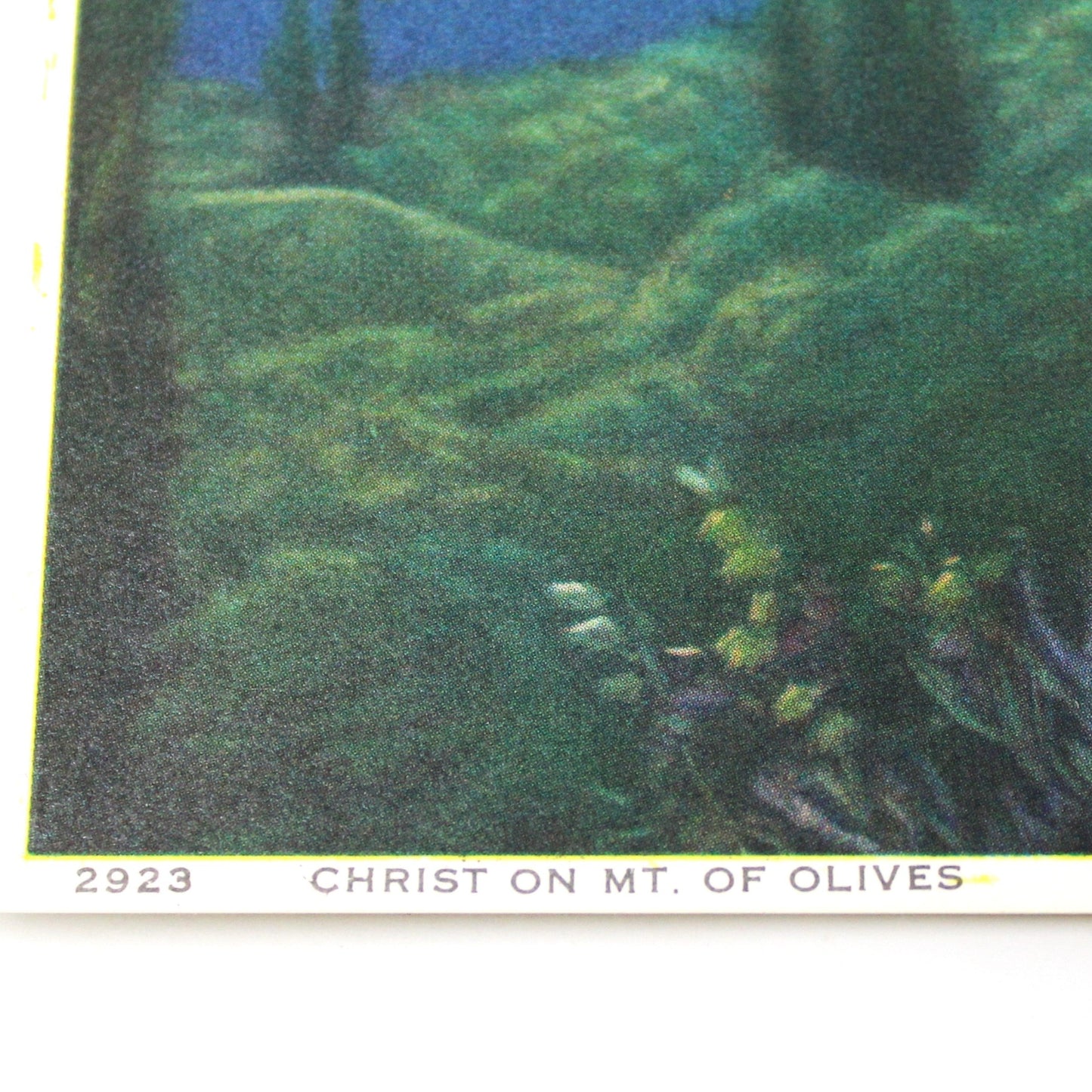 Print, Lithograph, Christ on Mount of Olives, Vintage