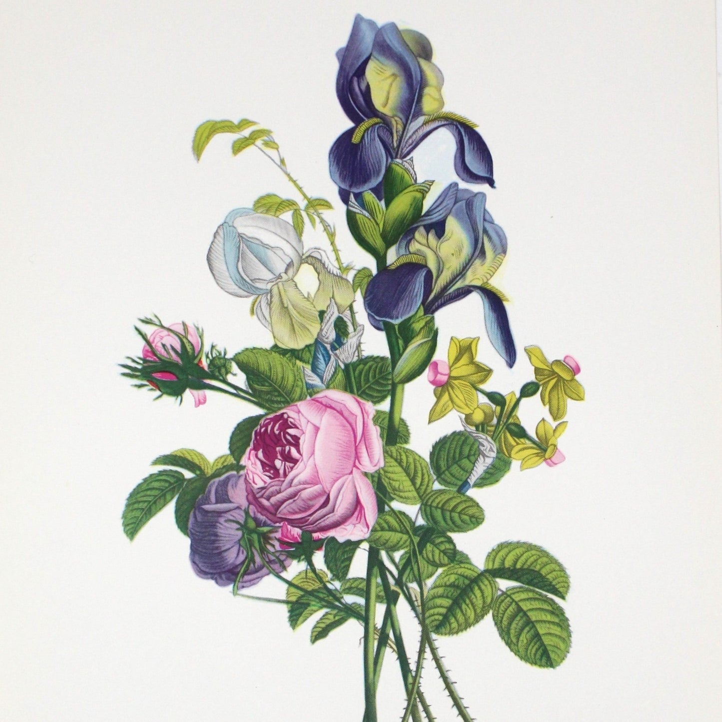 Print, Lithograph, J Prevost, Floral Bouquet #3107, Vintage