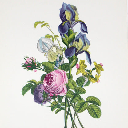 Print, Lithograph, J Prevost, Floral Bouquet #3107, Vintage