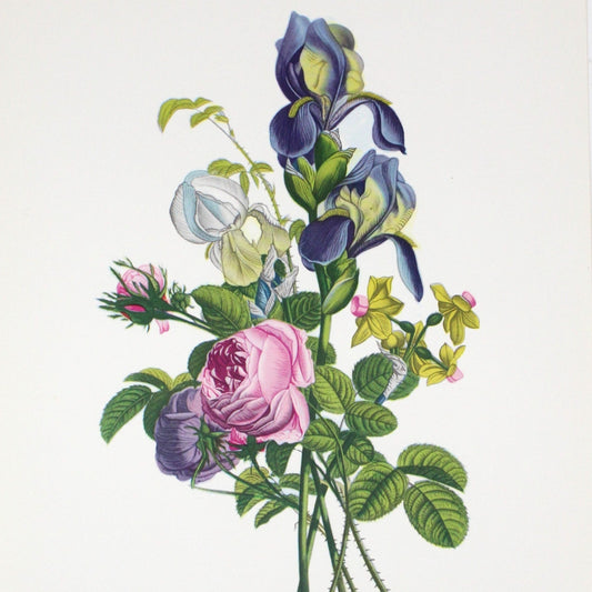 Print, Lithograph, J Prevost, Floral Bouquet #3107, Vintage