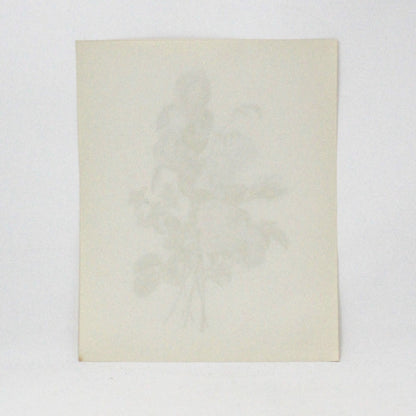Print, Lithograph, J Prevost, Floral Bouquet #3107, Vintage