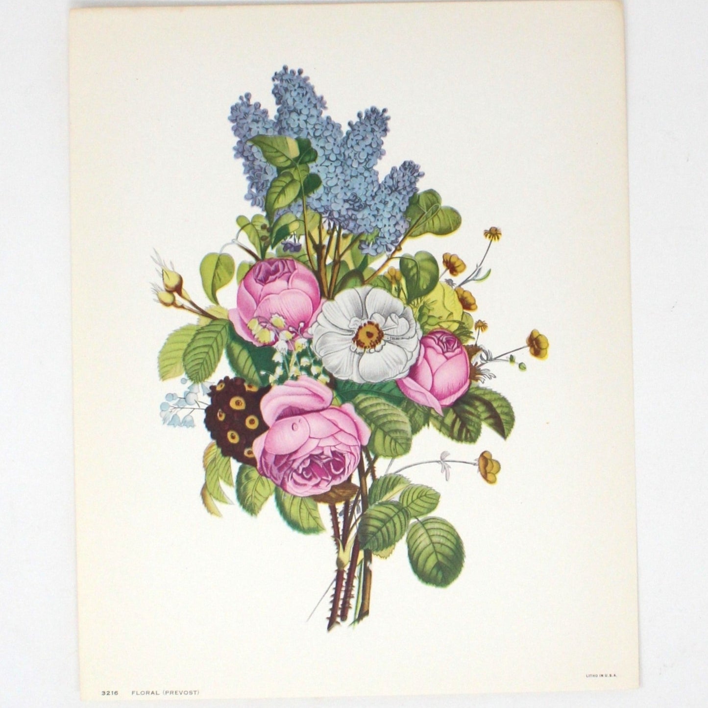 Print, Lithograph, J Prevost, Floral Bouquet #3216, Vintage
