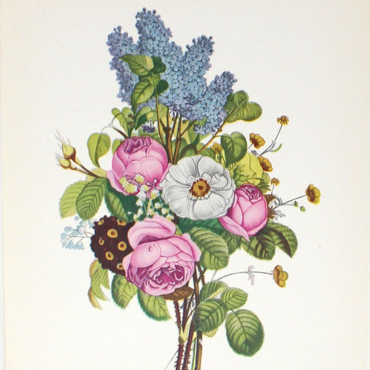 Print, Lithograph, J Prevost, Floral Bouquet #3216, Vintage