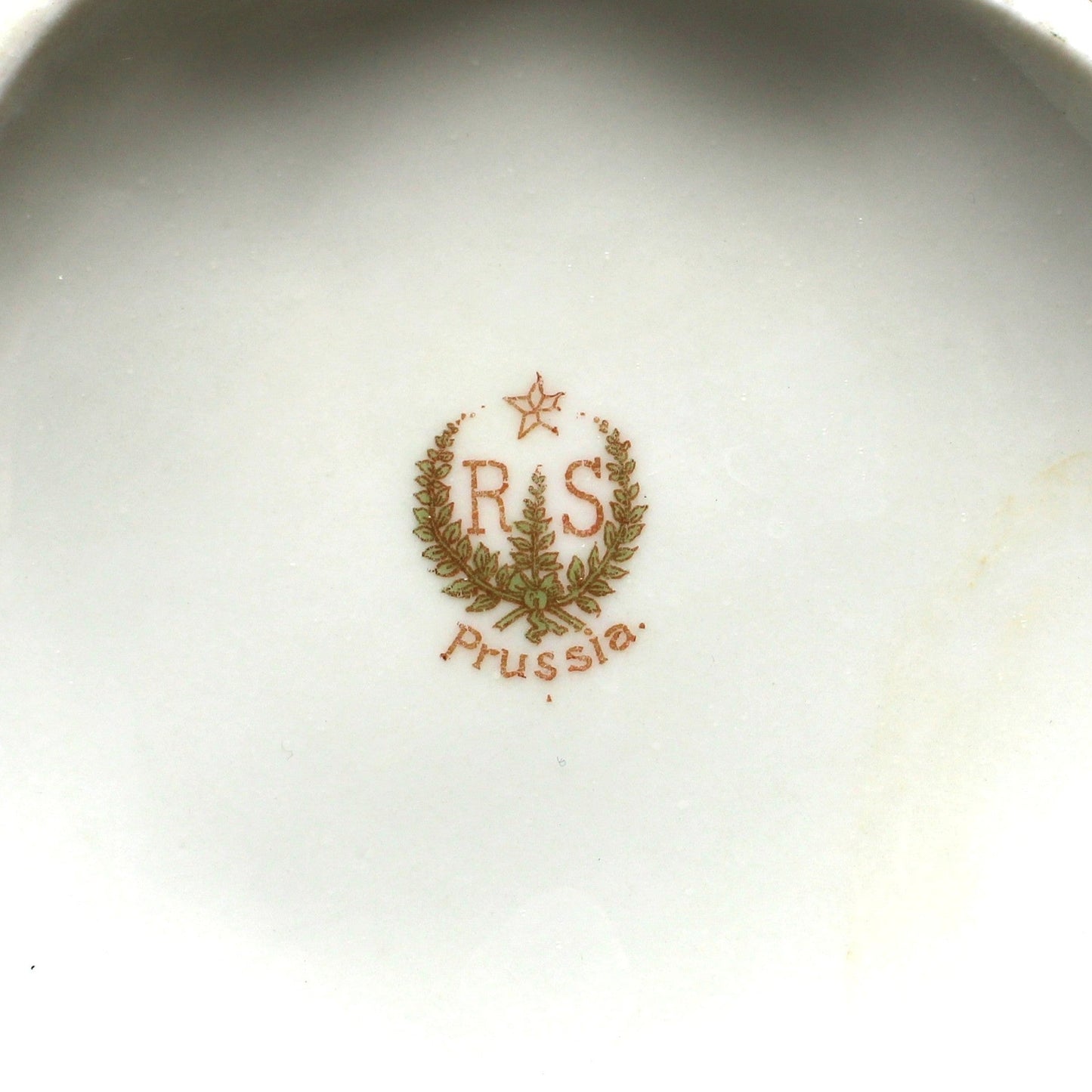 Creamer and Sugar with Lid, RS Prussia, White Flowers, Green Leaves & Gilding, Satin Finish Porcelain, German Antique