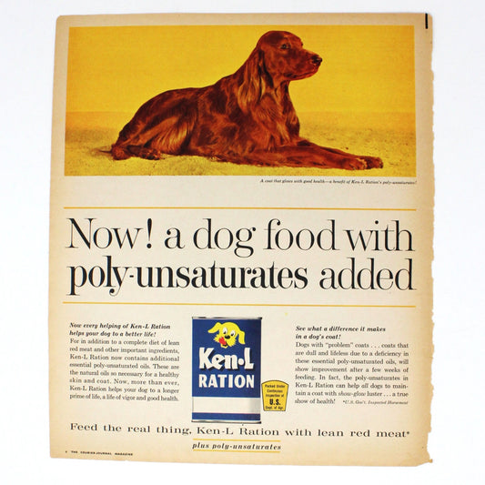 Advertisement, Ken-L Ration Dog Food, Irish Setter, Original 1962 Magazine Ad, Vintage