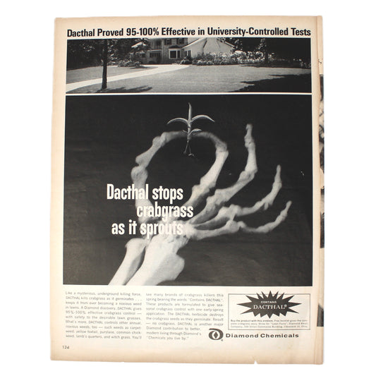 Vintage black and white ad for Dacthal, a weed killing chemical from Diamond Chemicals. A skeleton hand holding a weed.