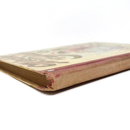 Children's Book, Antique, Mischief and Play, W. B. Conkey Company, 1899