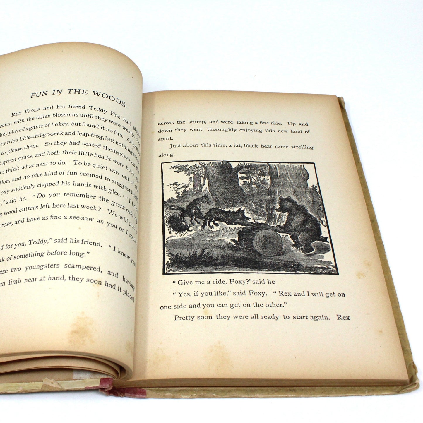 Children's Book, Antique, Mischief and Play, W. B. Conkey Company, 1899