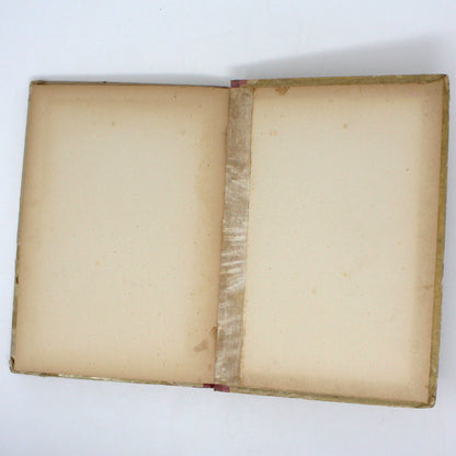 Children's Book, Antique, Mischief and Play, W. B. Conkey Company, 1899