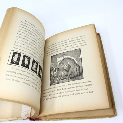 Children's Book, Antique, Mischief and Play, W. B. Conkey Company, 1899