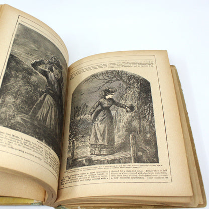 Children's Book, Antique, Chatter, De Wolfe Fiske & Co, 1891
