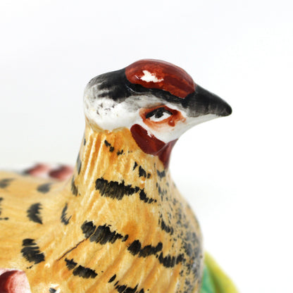 Hen in Nest, William Kent, Old Staffordshire Ware, Hand Painted Enamels, Antique, Made in England, 1891-1920s
