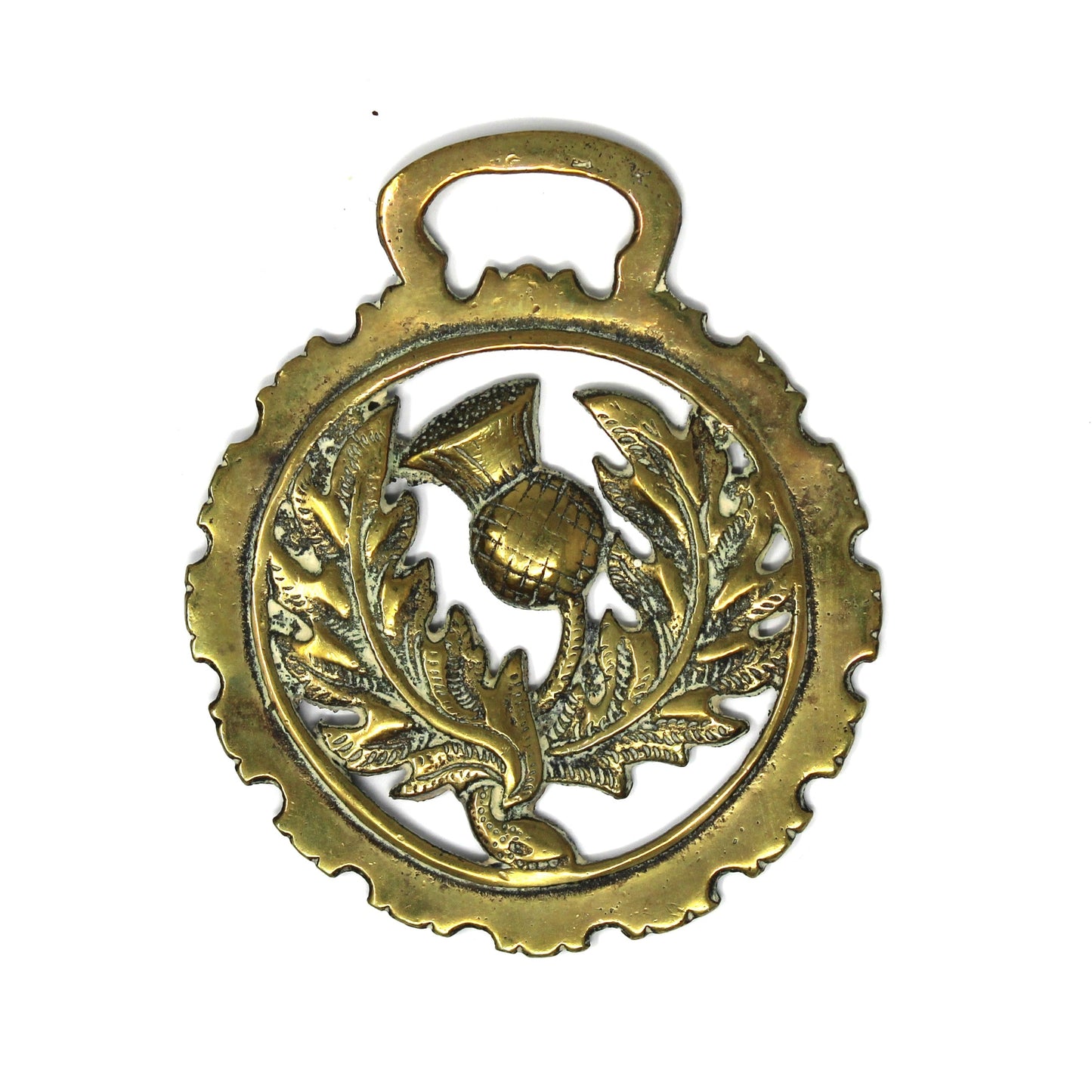Vintage Horse Brass Bridle Medallion, Scottish Thistle National Emblem Design,  Equestrian Décor, Scotland, 1920's
