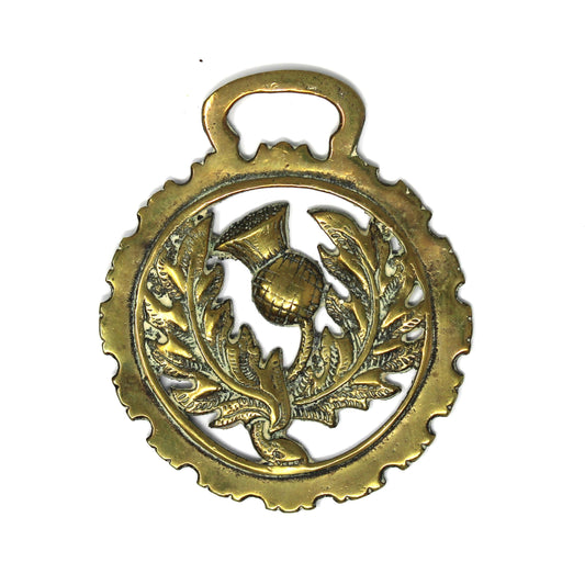 Vintage Horse Brass Bridle Medallion, Scottish Thistle National Emblem Design,  Equestrian Décor, Scotland, 1920's
