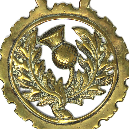 Horse Brass Bridle Medallion, Scottish Thistle National Emblem Design, Vintage Equestrian Décor, Scotland, 1920s–1940s