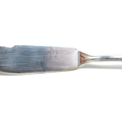 Butter Knife / Spreader, Wm Rogers, Silverplate, Camelot Pattern, Vintage 1964