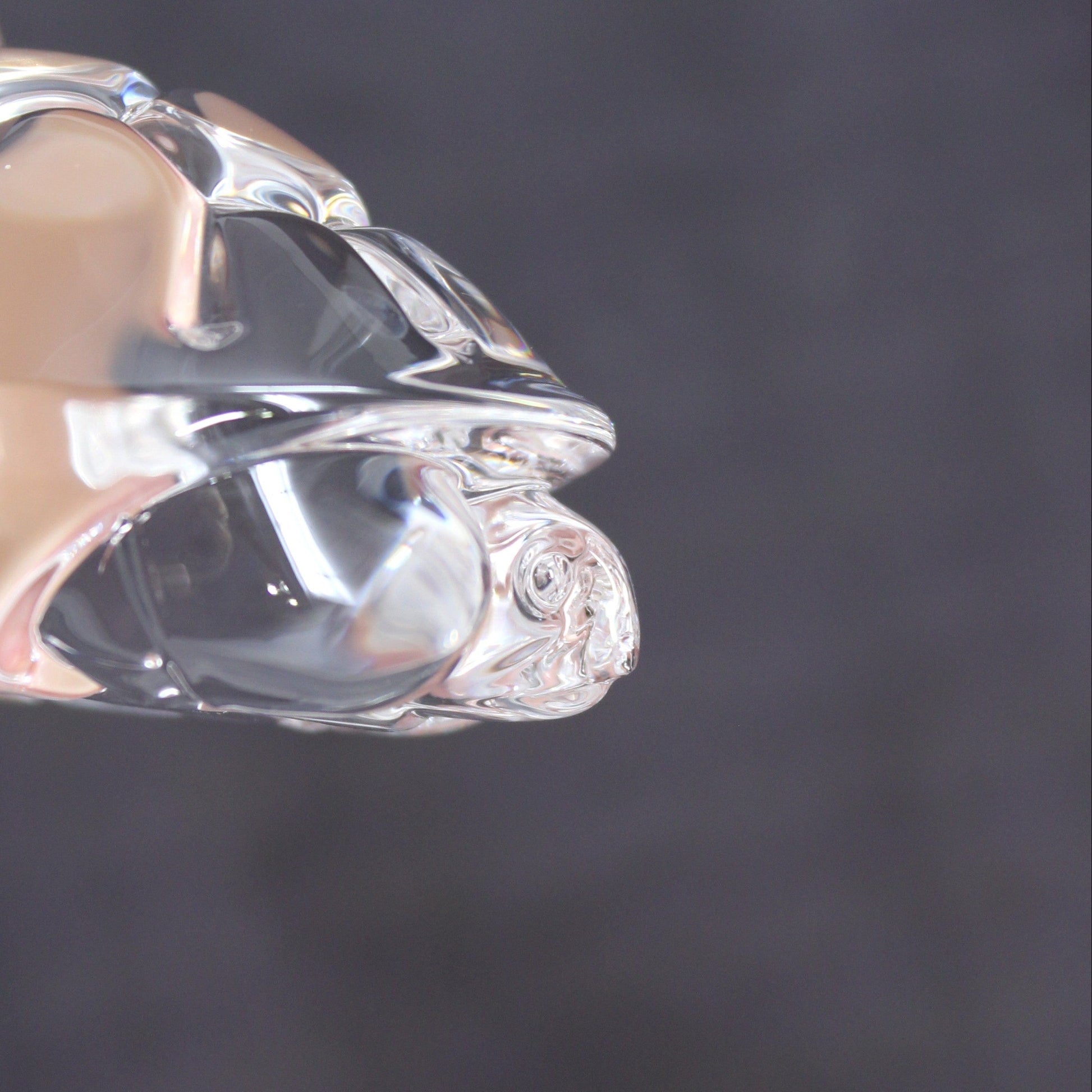 close up view of Steuben crystal turtle hand cooler.