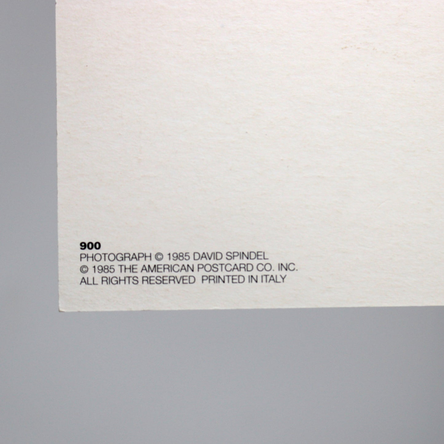 John Lennon & Yoko Ono Postcard, Vintage 1985 Unused, David Spindel Photo, American Postcard, Ephemera