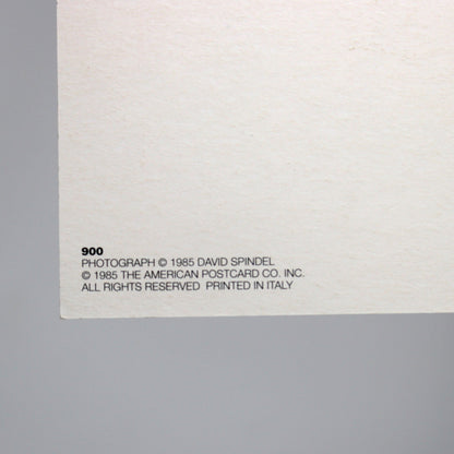 John Lennon & Yoko Ono Postcard, Vintage 1985 Unused, David Spindel Photo, American Postcard, Ephemera
