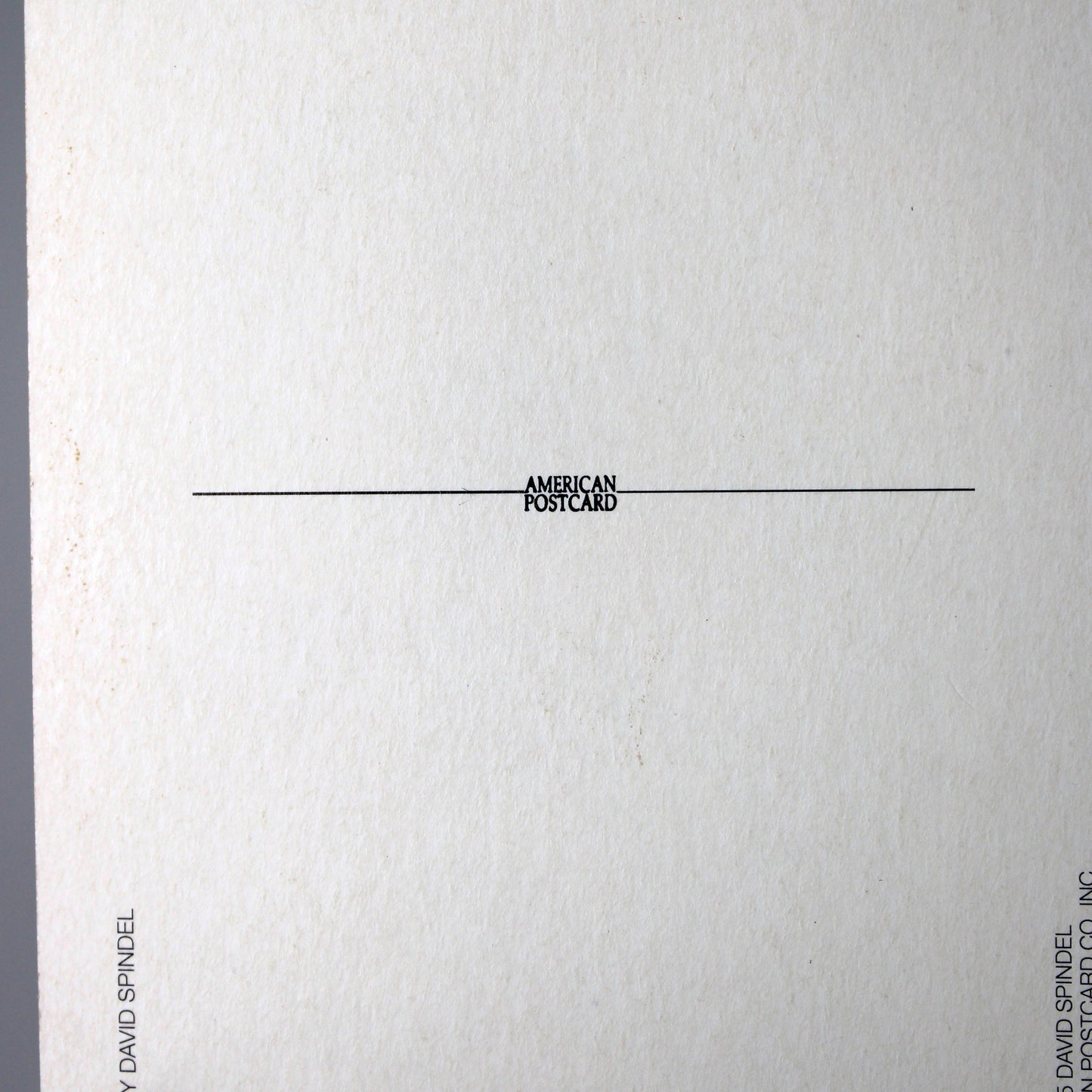 John Lennon & Yoko Ono Postcard, Vintage 1985 Unused, David Spindel Photo, American Postcard, Ephemera