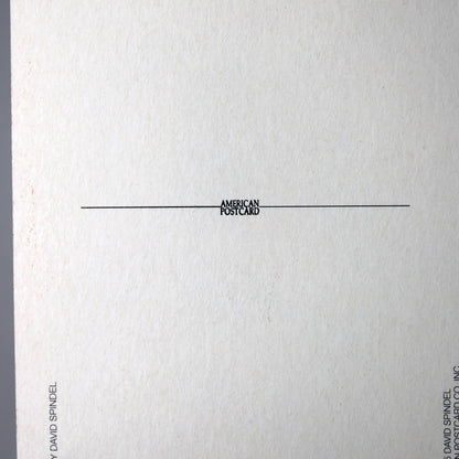 John Lennon & Yoko Ono Postcard, Vintage 1985 Unused, David Spindel Photo, American Postcard, Ephemera