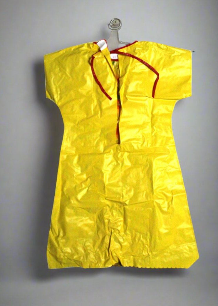 Costume with Mask, Ben Cooper, Walt Disney TinkerBell from Peter Pan, in Original Box, Vintage, SOLD
