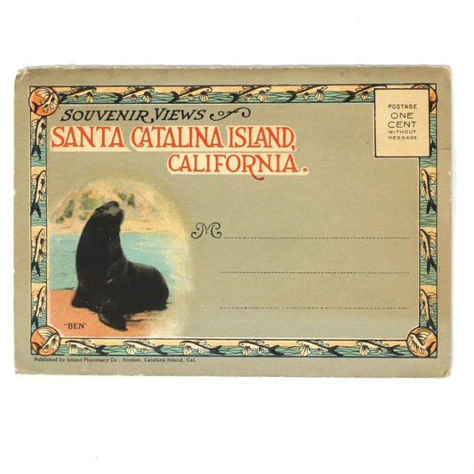 A vintage Santa Catalina Island postcard photo book, featuring an illustration of a sea lion, with 'SANTA CATALINA ISLAND, CALIFORNIA' printed in red at the top and a decorative border.