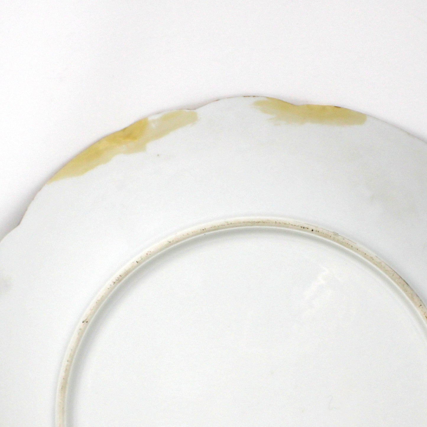 Decorative Plate: D&C Delinieres & Co, Hand Painted Limoges France Porcelain, Antique 1894