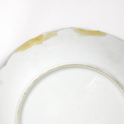 Decorative Plate: D&C Delinieres & Co, Hand Painted Limoges France Porcelain, Antique 1894