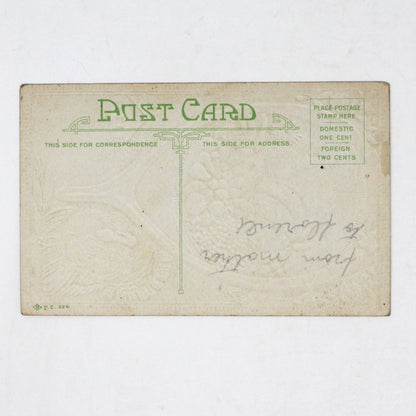 Postcards, Thanksgiving Card, Embossed & Gilded Harvest, Wishbone & Turkey, Thanksgiving Greetings, Antique