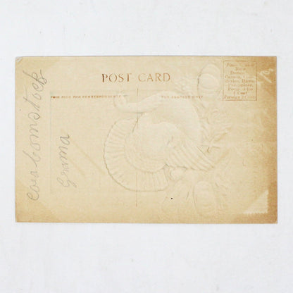 Postcards, Thanksgiving Card, Embossed & Gilded Turkey Air Brushed, Thanksgiving Greetings, Antique