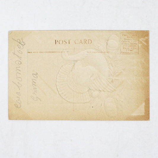 Postcards, Thanksgiving Card, Embossed & Gilded Turkey Air Brushed, Thanksgiving Greetings, Antique