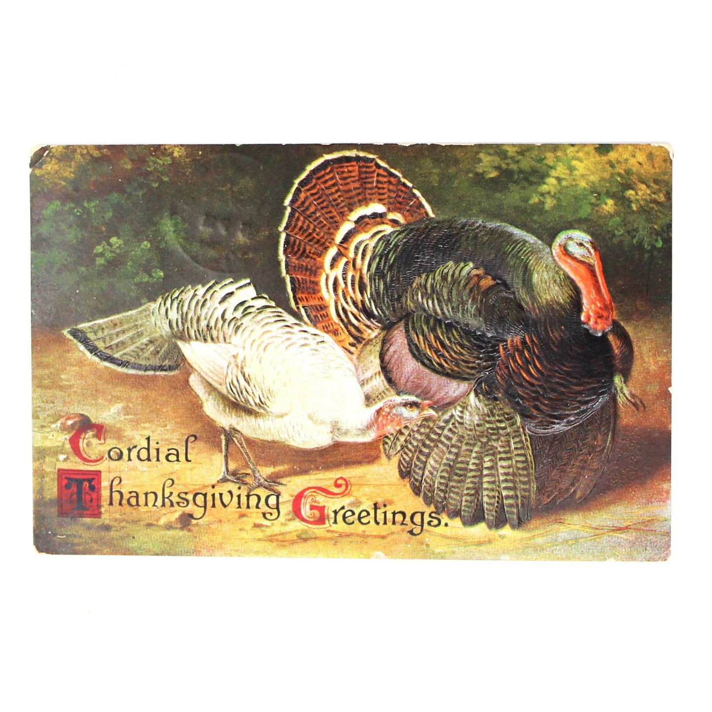 Postcards, Thanksgiving Card, Embossed Turkeys, Male & Female, Cordial Thanksgiving Greetings, Antique