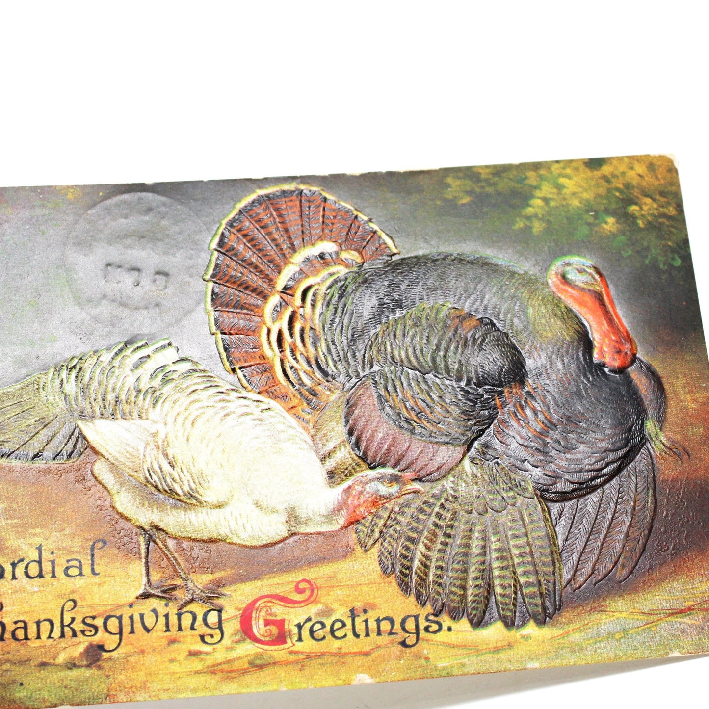 Postcards, Thanksgiving Card, Embossed Turkeys, Male & Female, Cordial Thanksgiving Greetings, Antique