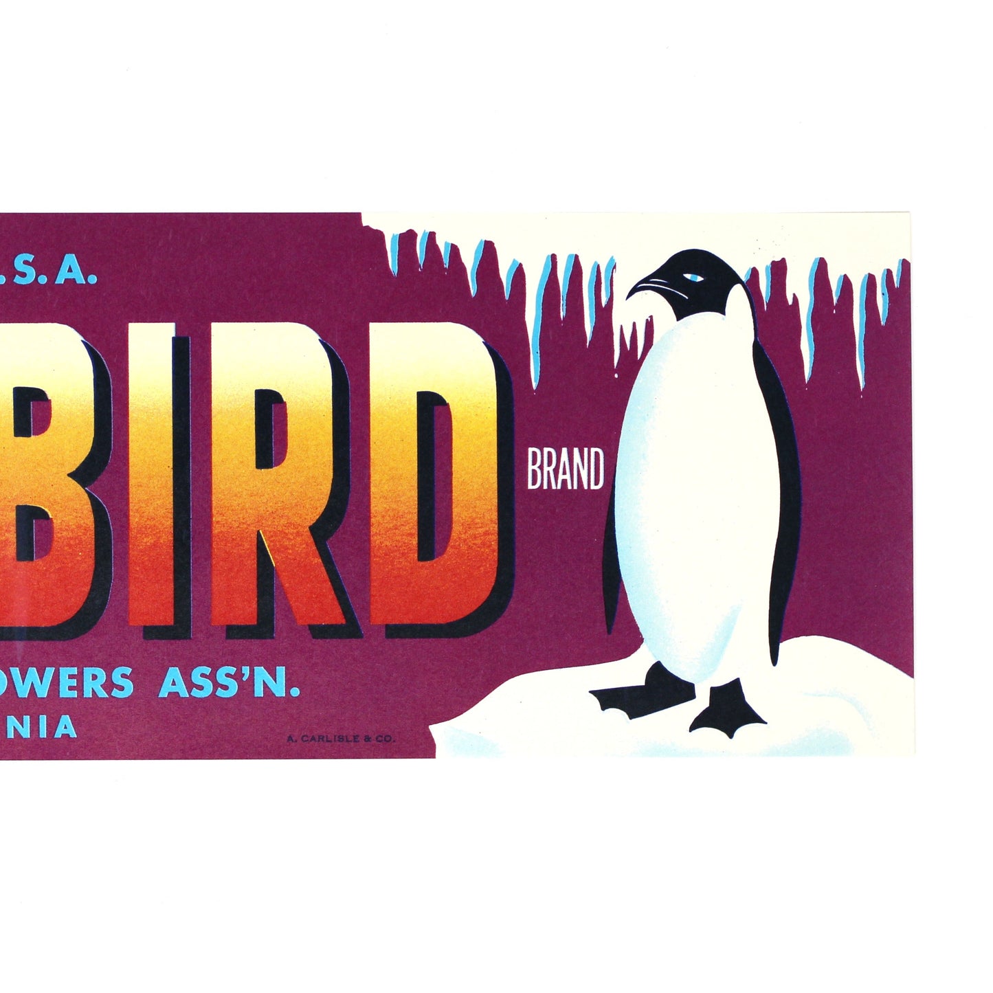 A rectangular vintage crate label with a magenta background, large gradient text reading 'POLAR BIRD,' a penguin standing on white ice, and smaller text including 'PRODUCE OF U.S.