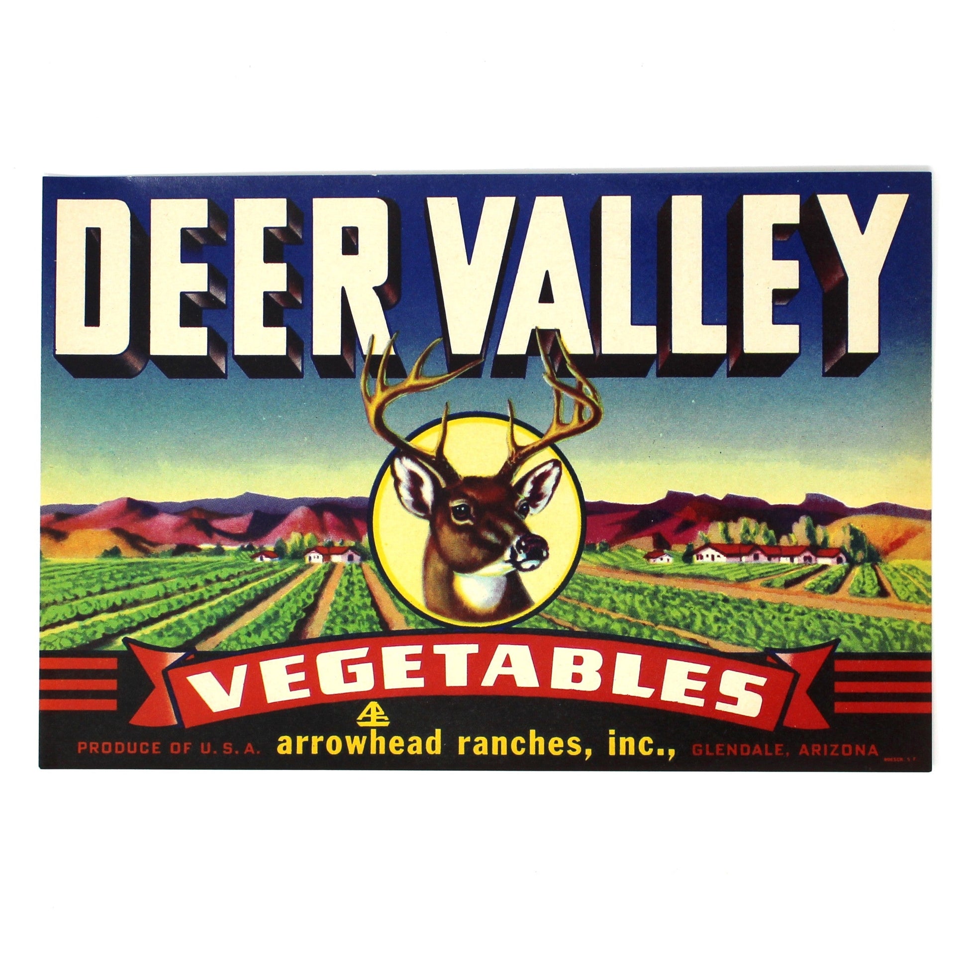 A vintage-style rectangular label or sign reading 'DEER VALLEY VEGETABLES' with a deer head emblem and illustrated farm landscape, centered on a plain white background.