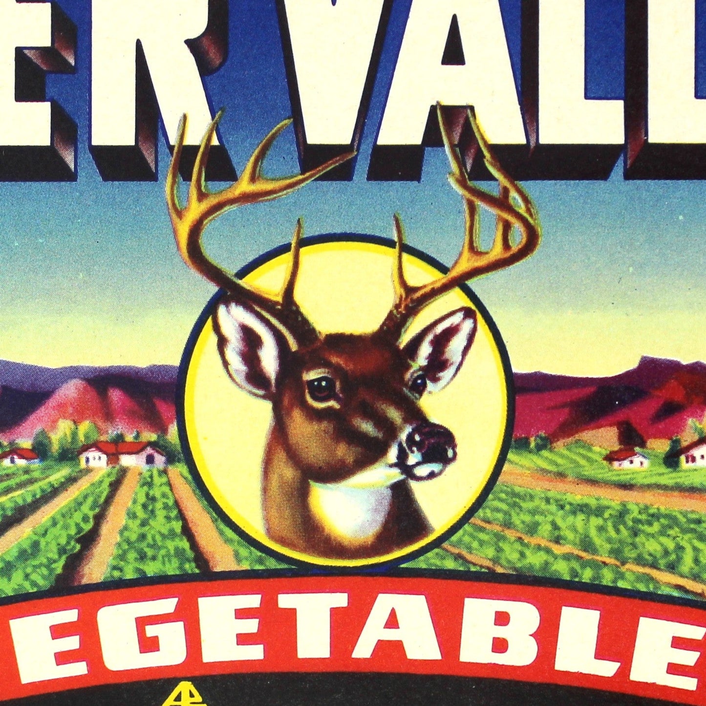A vintage-style rectangular label or sign reading 'DEER VALLEY VEGETABLES' with a colorful illustrated farm scene, a deer head emblem, and small text at the bottom reading 'Product of Yuba Ranches, Inc., Glendel, Arizona.