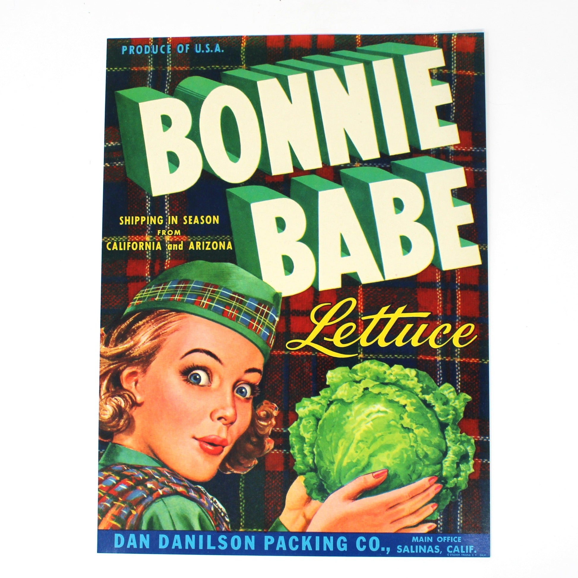 A vintage-style Bonnie Babe lettuce magazine or booklet cover centered on a plain white background. The cover features large green 'BONNIE BABE' lettering, yellow script 'Lettuce', a woman holding a cabbage, and a red plaid background.