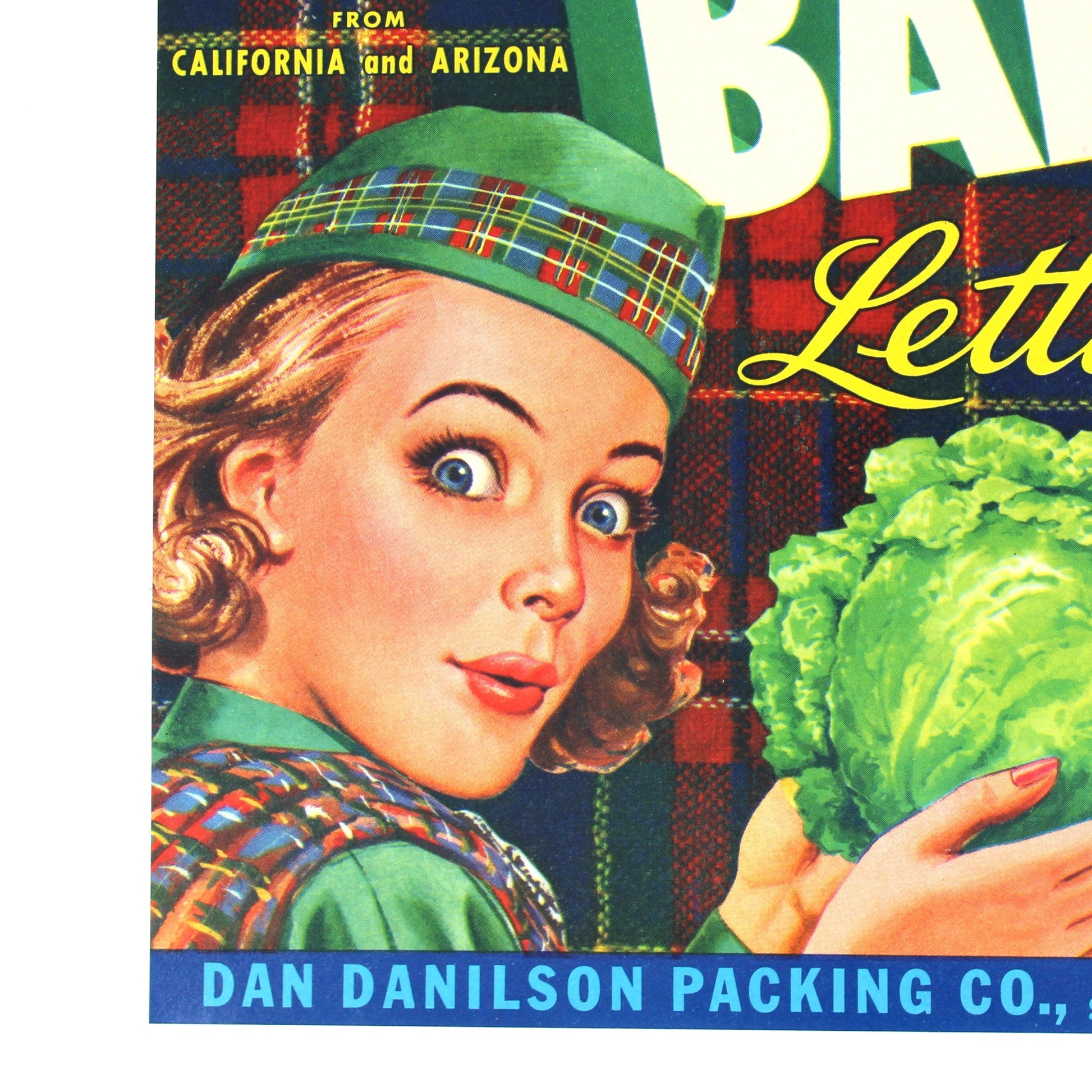 Vintage-style Bonnie Babe lettuce packaging artwork with large white block letters, a plaid background, an illustrated woman in a green hat, and a green cabbage held in her hands. Visible text includes 'Bonnie Babe Lettuce' and 'Dan Danilson Packing Co.