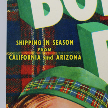 Crate Label: Bonnie Babe Brand, Scottish Girl, Lettuce, Dan Danilson Packing Co., Salinas California, 1940s