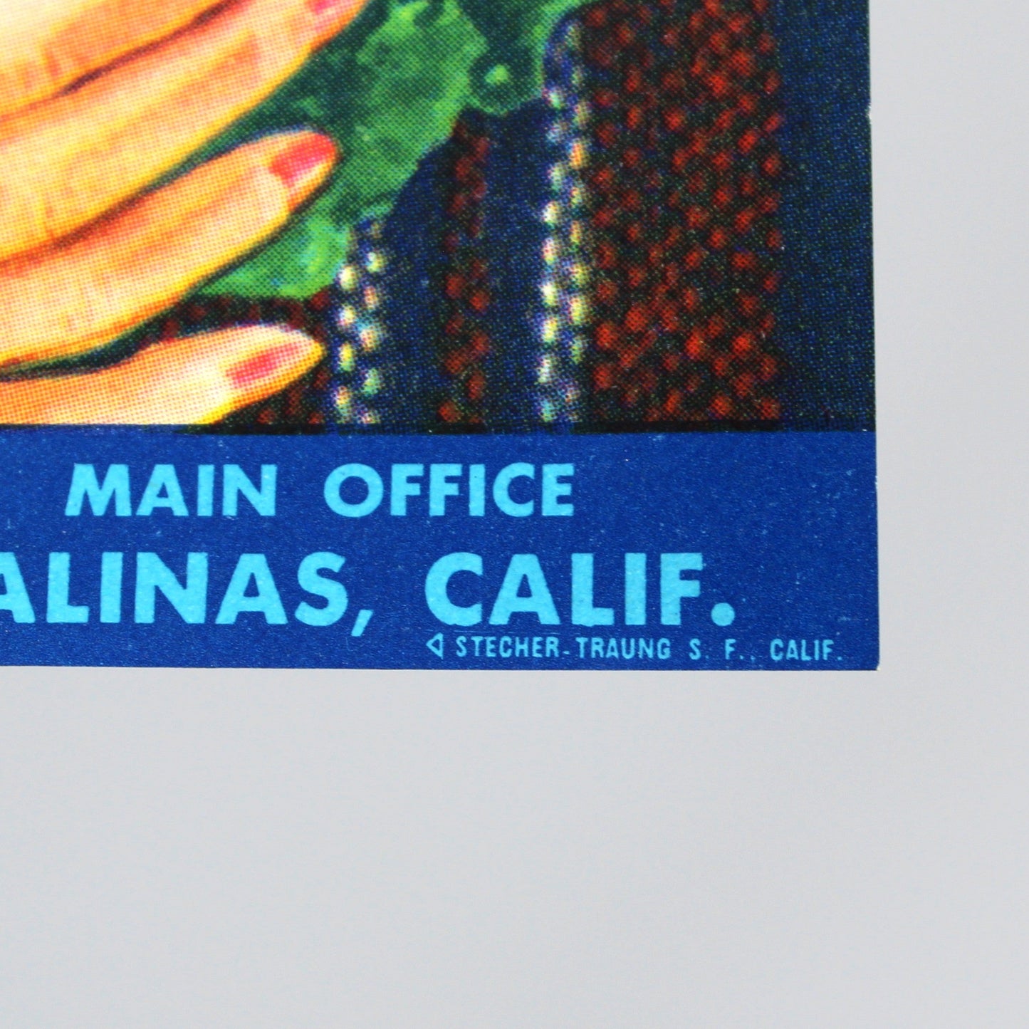 Crate Label: Bonnie Babe Brand, Scottish Girl, Lettuce, Dan Danilson Packing Co., Salinas California, 1940s