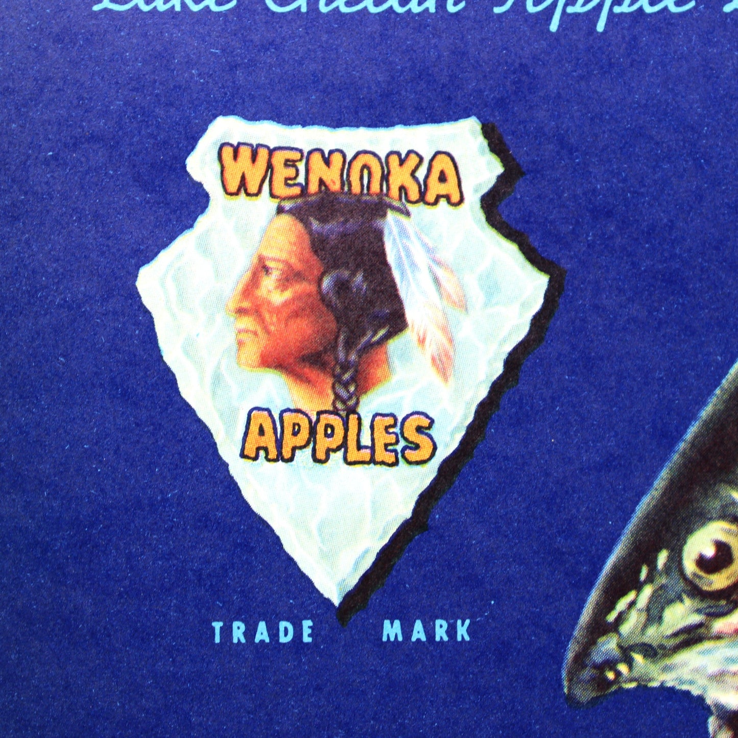 Crate Label: Trout Brand Apple, Leaping Rainbow Trout, Lake Chelan Fruit Growers, Washington, 1950s