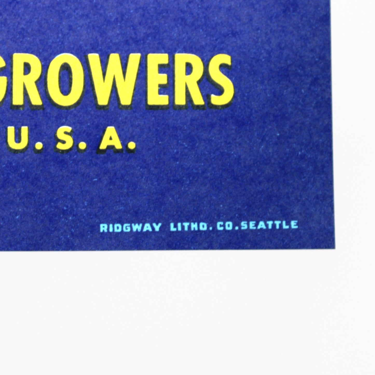 Crate Label: Trout Brand Apple, Leaping Rainbow Trout, Lake Chelan Fruit Growers, Washington, 1950s