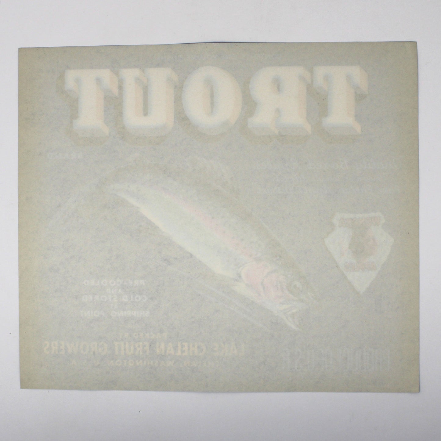 Crate Label: Trout Brand Apple, Leaping Rainbow Trout, Lake Chelan Fruit Growers, Washington, 1950s