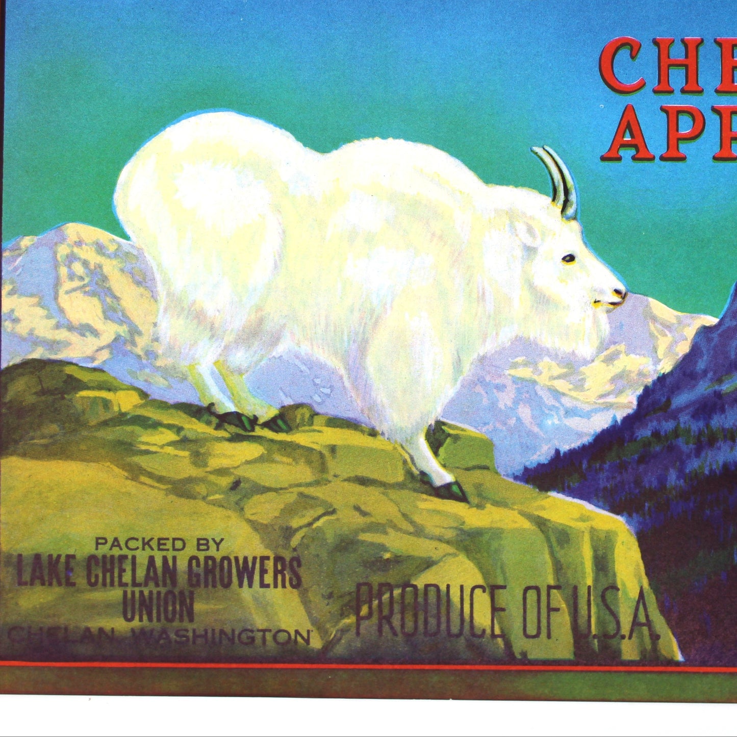 A vintage fruit crate label for Mountain Goat Chelan Apples, featuring a white goat standing on a rocky hillside with mountains in the background and bold yellow and red text on a blue sky.