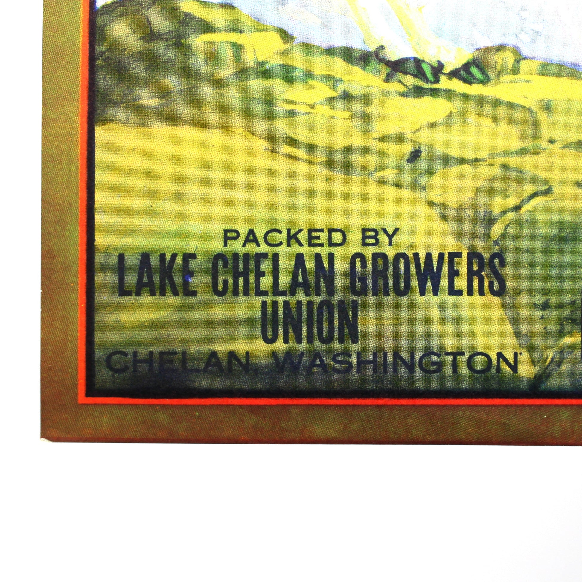 A close-up of a vintage crate produce label corner showing green and yellow hills with text reading 'PACKED BY LAKE CHELAN GROWERS UNION' and 'PRODUCE'